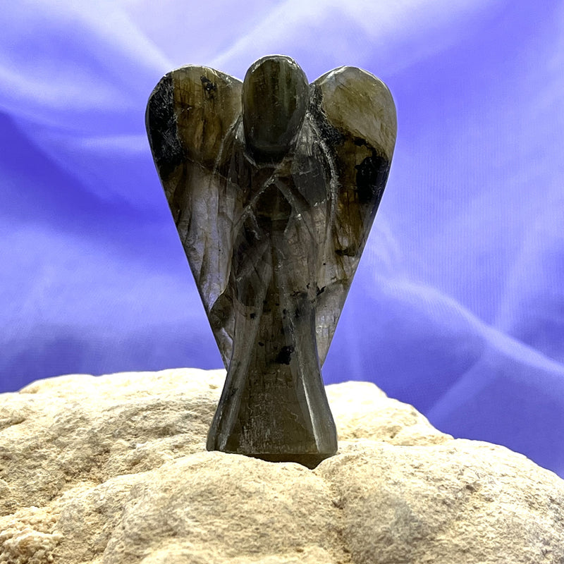 Angel Labradorite Medium Carving 5.3 cm | Carpe Diem With Remi