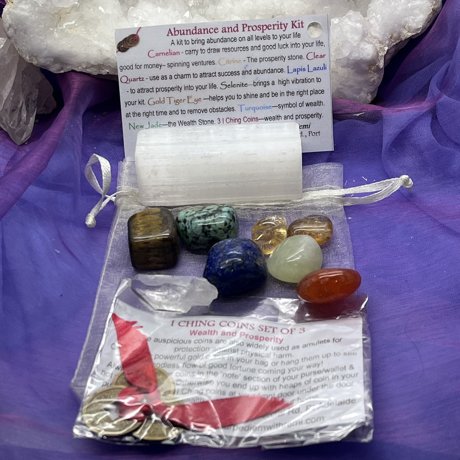 Abundance and Prosperity Kit | Carpe Diem With Remi