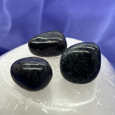 Arfvedsonite Tumble Stone | Carpe Diem With Remi
