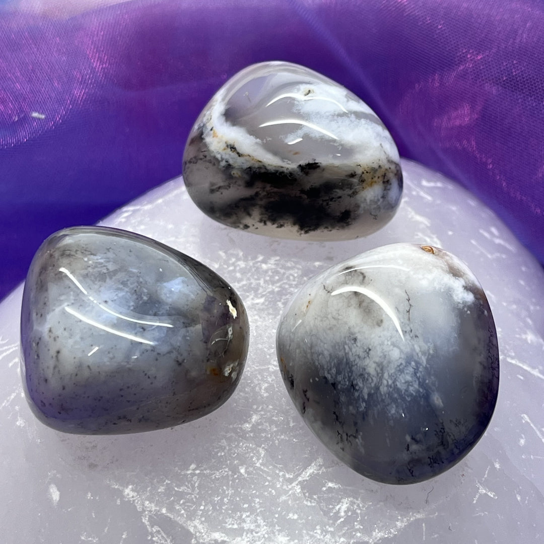 Merlinite Tumble