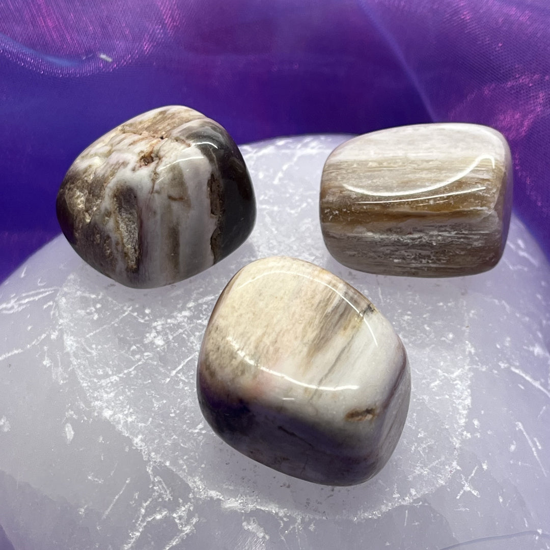 Petrified Wood Tumble