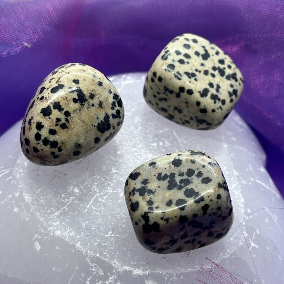 Dalmation Jasper Tumble