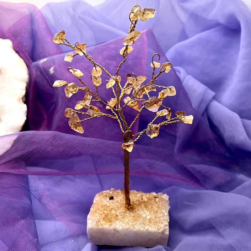 Crystal Tree Citrine with Citrine Base 13.5 cm