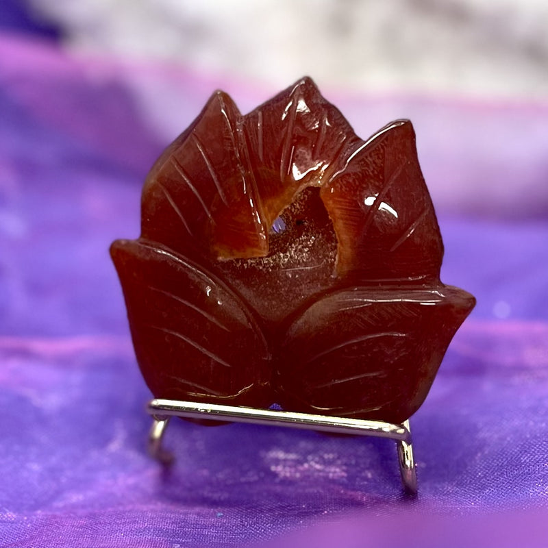 Carnelian Lotus with Stand