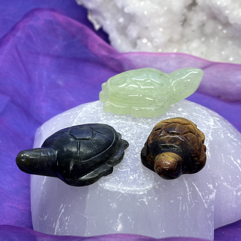 Turtle Assorted Stones 4.4 cm