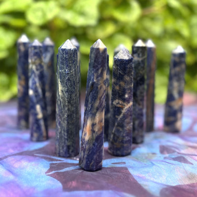 Generator Sodalite Assorted | Carpe Diem With Remi