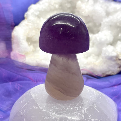 Massage Mushroom Fluorite 7.2 cm | Carpe Diem With Remi