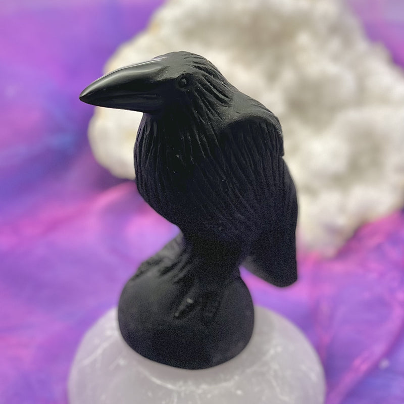 Raven Black Obsidian  11.3 cm