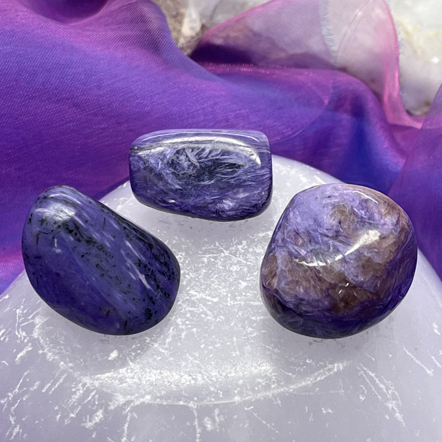 Charoite Tumble Lovely Quality | Carpe Diem With Remi