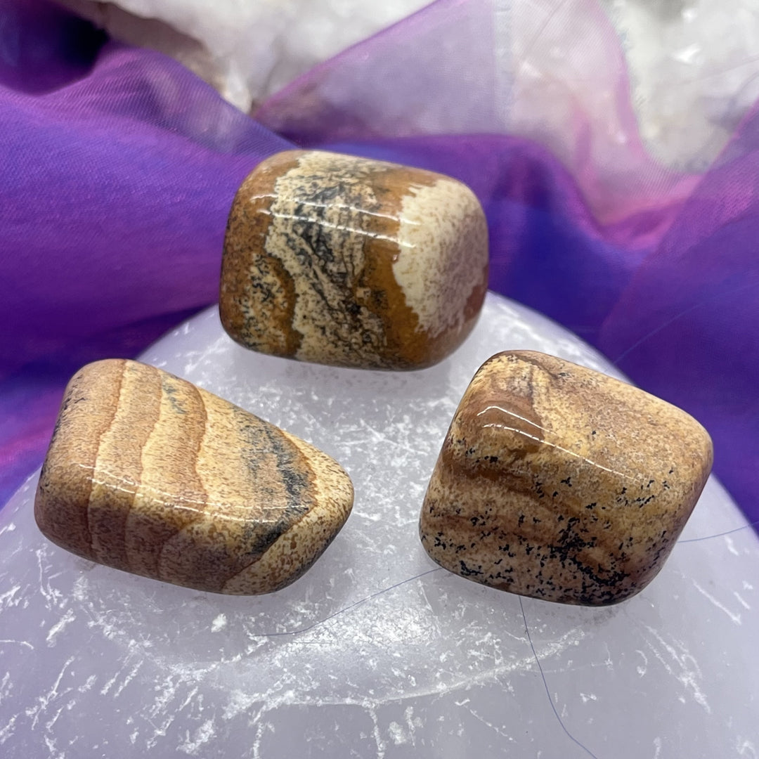 Jasper Rosetta Tumble Stone - Stress and Trauma