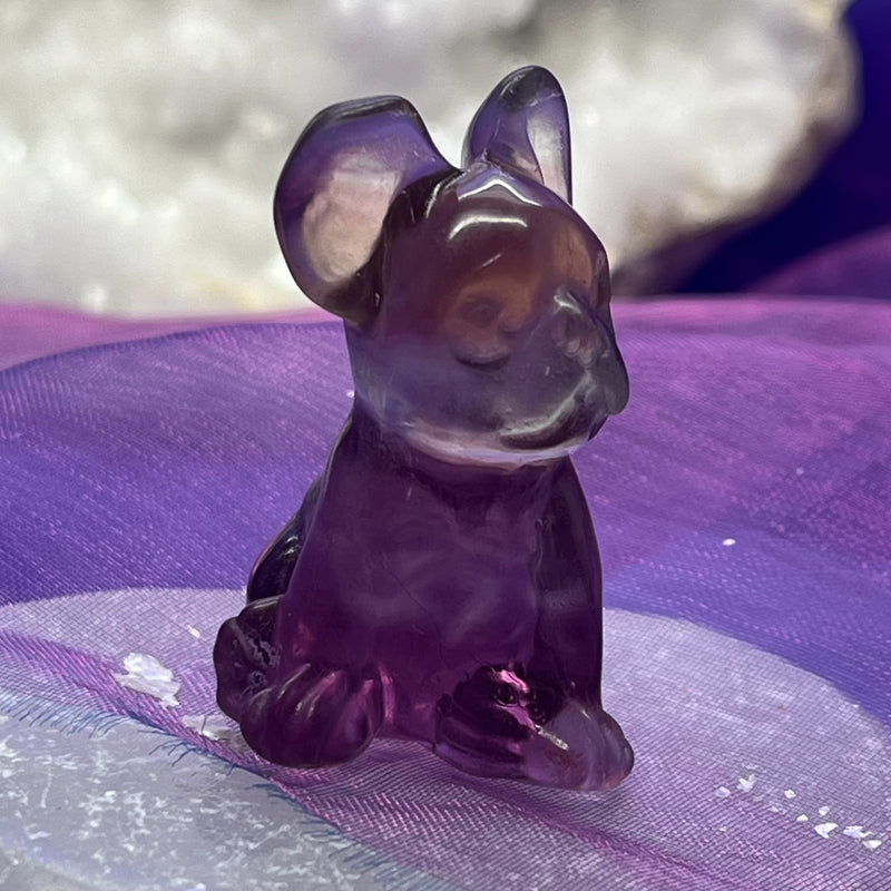 French Bulldog Fluorite Purple