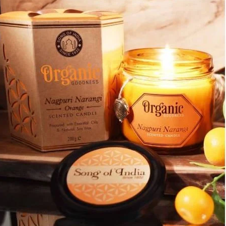 Candle Soy Organic Goodness 60 Hour Nagpuri Narangi Orange | Carpe Diem With Remi