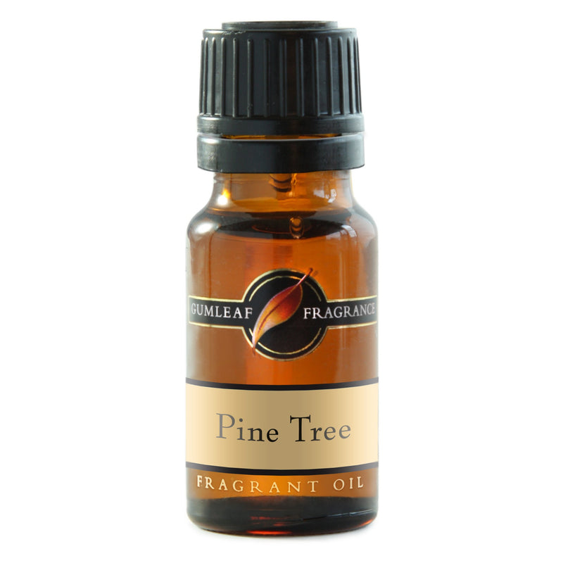 Fragrant Oil Gumleaf Pine Tree