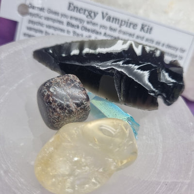 Energy Vampire Kit | Carpe Diem with Remi