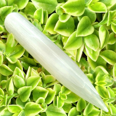 Selenite Wand Rounded End | Carpe Diem With Remi