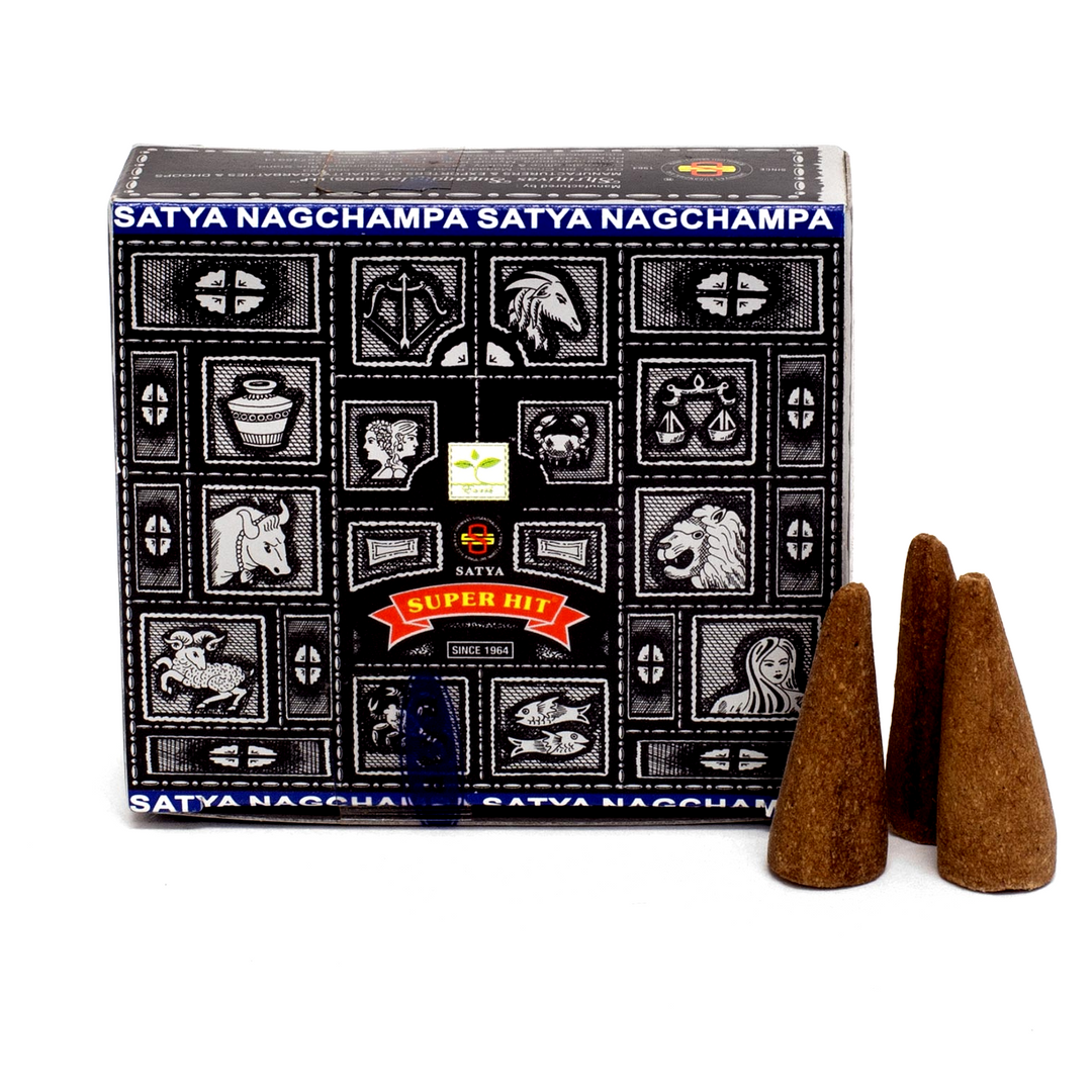 Super Hit Incense Cones | Carpe Diem With Remi