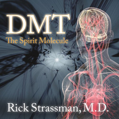 DMT: The Spirit Molecule | Carpe Diem With Remi