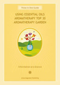 Aromatherapy Guide Chart | Carpe Diem With Remi Port Adelaide