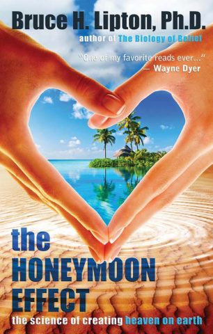 Honeymoon Effect | Carpe Diem With Remi Port Adelaide