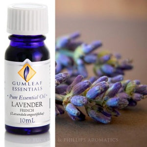 Lavender French | Essential Oil 10ml | Carpe Diem with Remi
