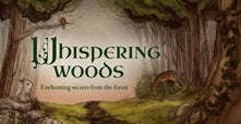 Whispering Woods | Oracle | Carpe Diem with Remi