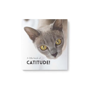 Little Book of Catitude / Purrfection | Carpe Diem With Remi Port Adelaide