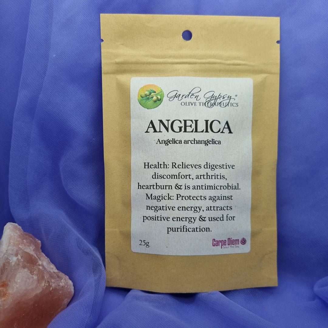 Herb St Johns Wort 20g | Carpe Diem With Remi