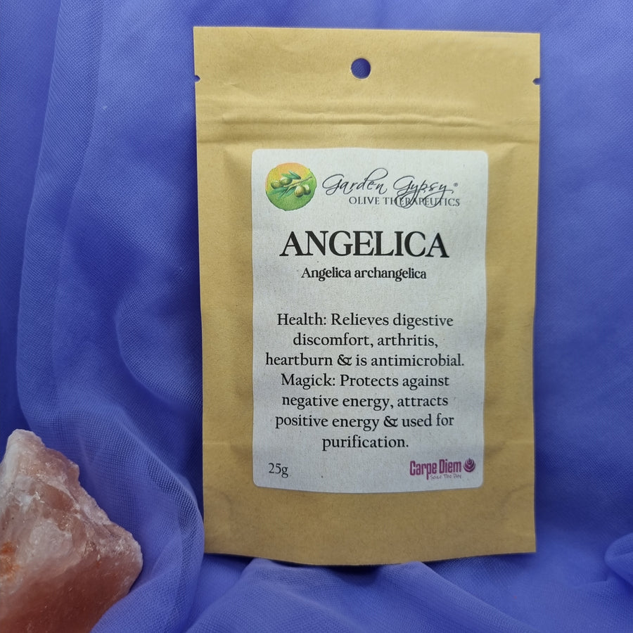 Herb St Johns Wort 20g | Carpe Diem With Remi