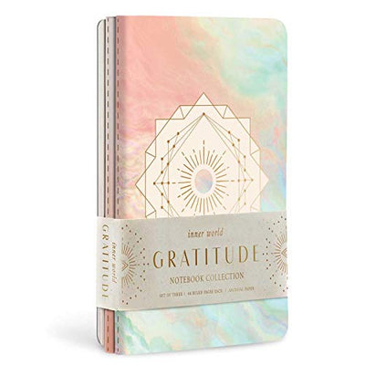 Gratitude Notebook  Collection | Carpe Diem with Remi