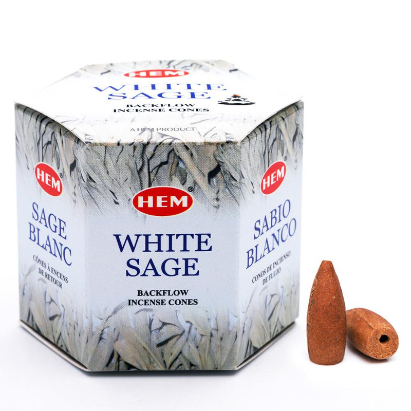 White Sage Hem Backflow Cones | Carpe Diem With Remi