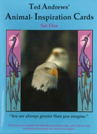Animal Inspiration Cards Set One | Carpe Diem With Remi