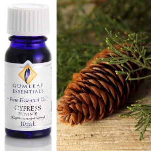 Cypress Essential Oil Gumleaf 10ml | Carpe Diem With Remi