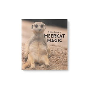 Little Book of Meerkat Magic | Carpe Diem with Remi