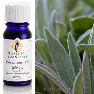 Sage | Essential Oil | 10ml  | Carpe Diem with Remi