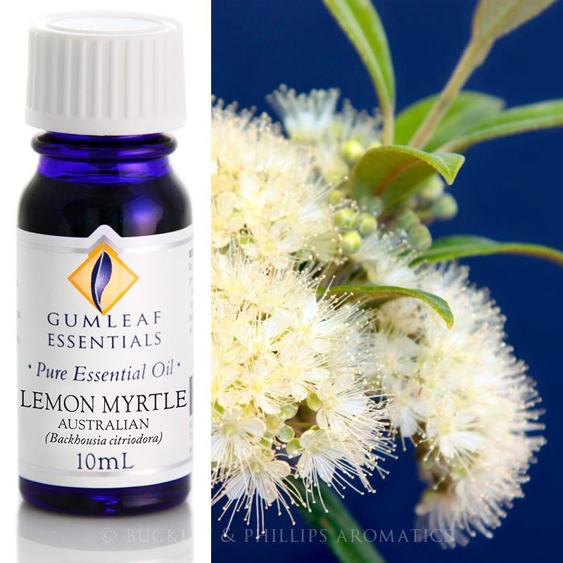 Lemon Myrtle Essential Oil Gumleaf 10 ml | Carpe Diem With Remi