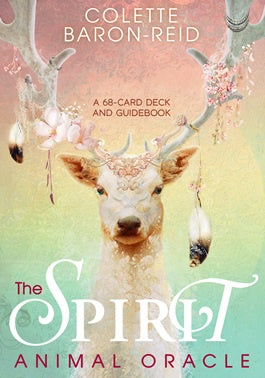 Spirit Animal Oracle | Carpe Diem with Remi