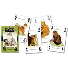 Playing Cards Cats | Carpe Diem With Remi