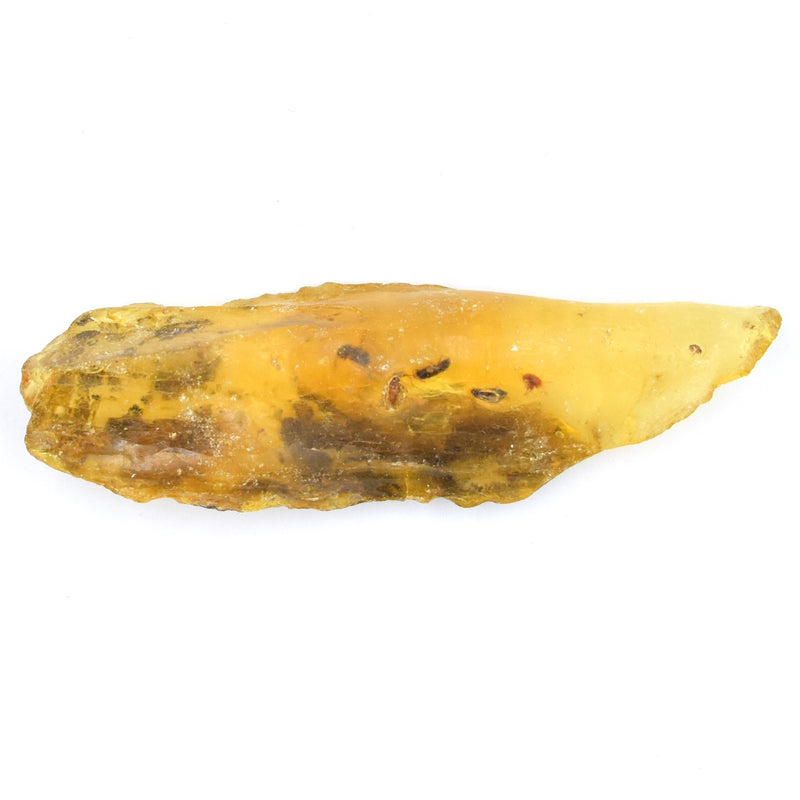 Amber Raw with Insects 8.2 cm