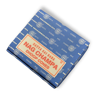 Nag Champa Satya Dhoop Cone Earth Series | Carpe Diem With Remi