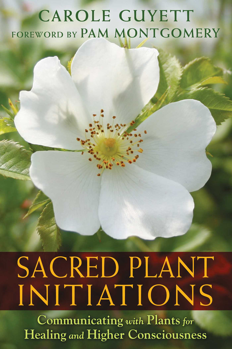 Sacred Plant Initiations | Carpe Diem With Remi